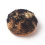 Mexican Coklat