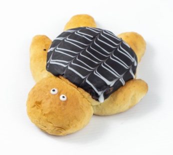 Choco Turtle
