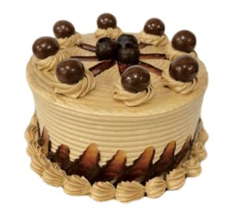 Mocca Tart Cake 12cm Bulat