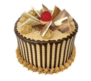 Mocca Tart Cake 12cm Bulat