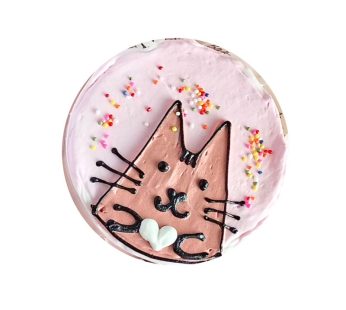 Bento Cake