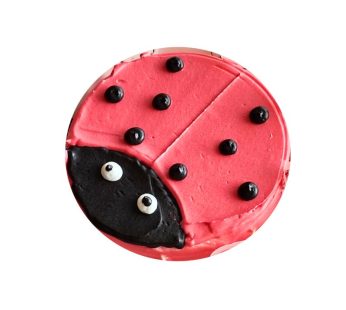 Bento Cake
