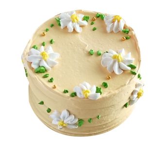 Tart Cake 12cm Bulat
